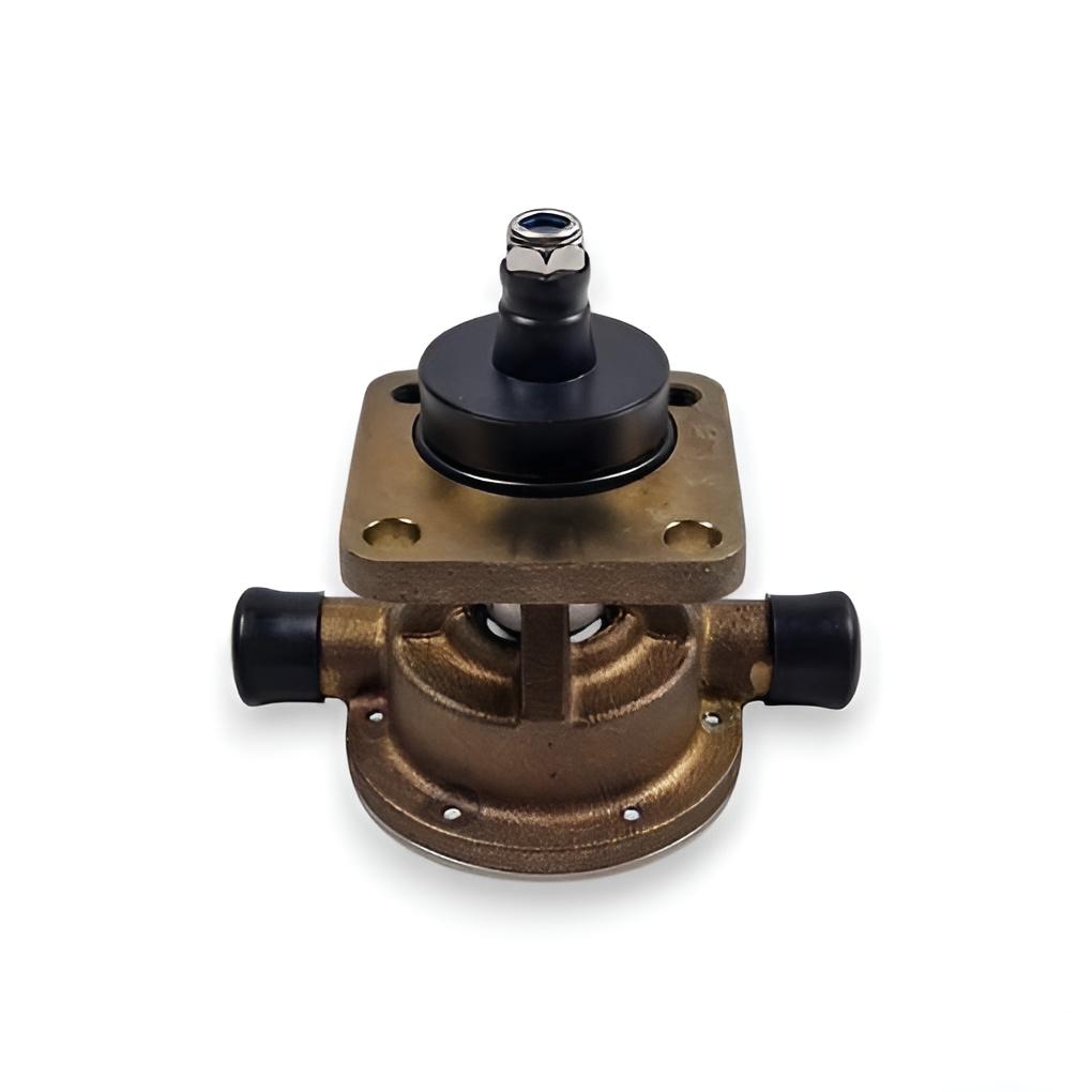 Komplette Wasserpumpe