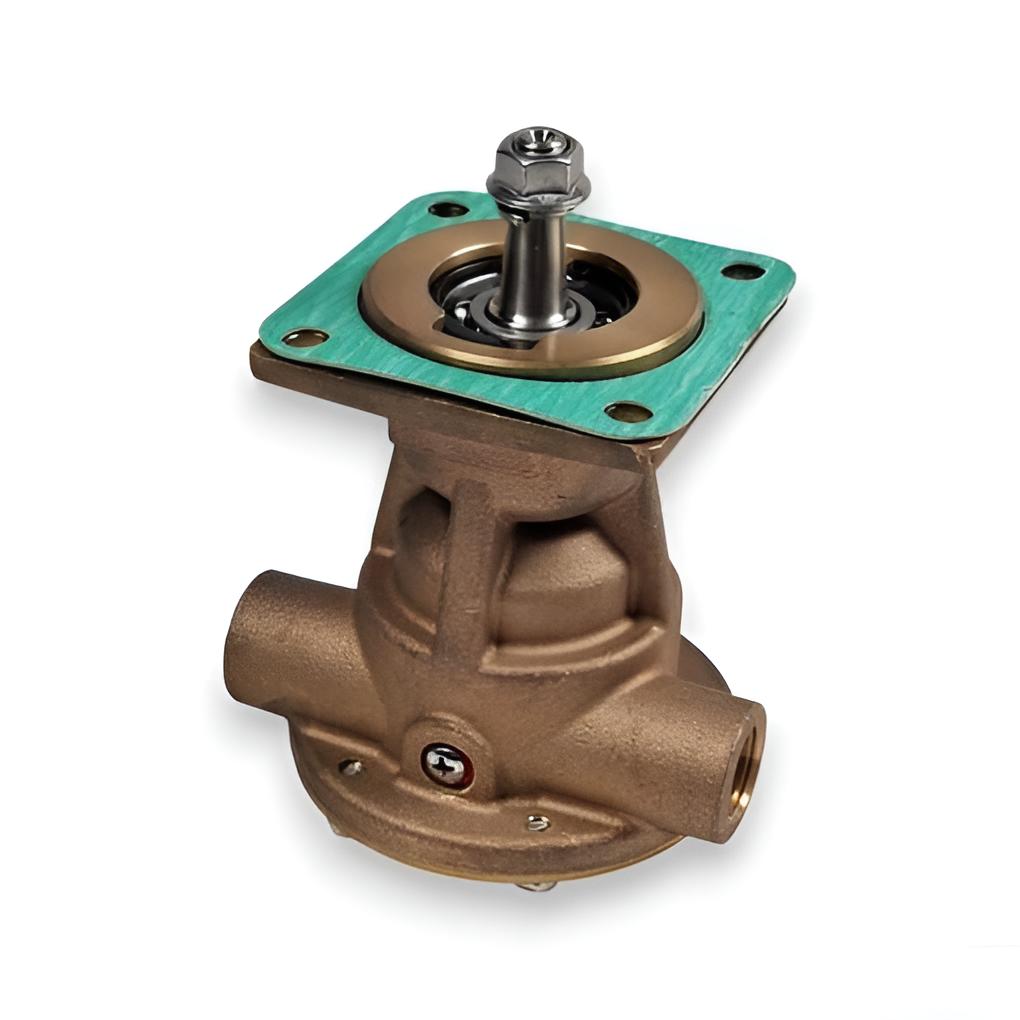 Komplette Wasserpumpe