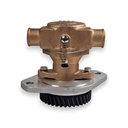 Cummins Wassserpumpe