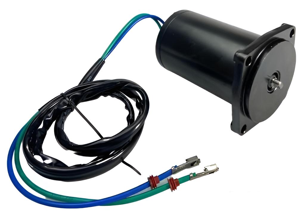 Trim Motor