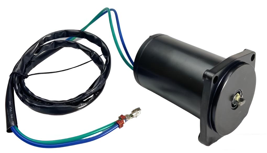 Trim Motor E-tec