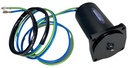 Trim Motor