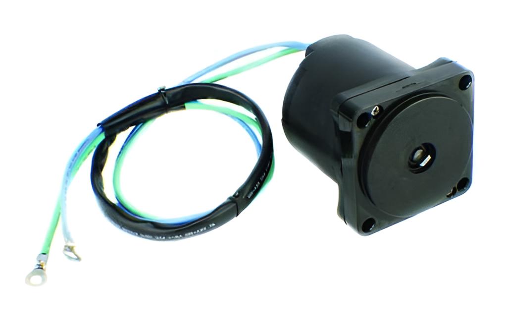 Trim Motor