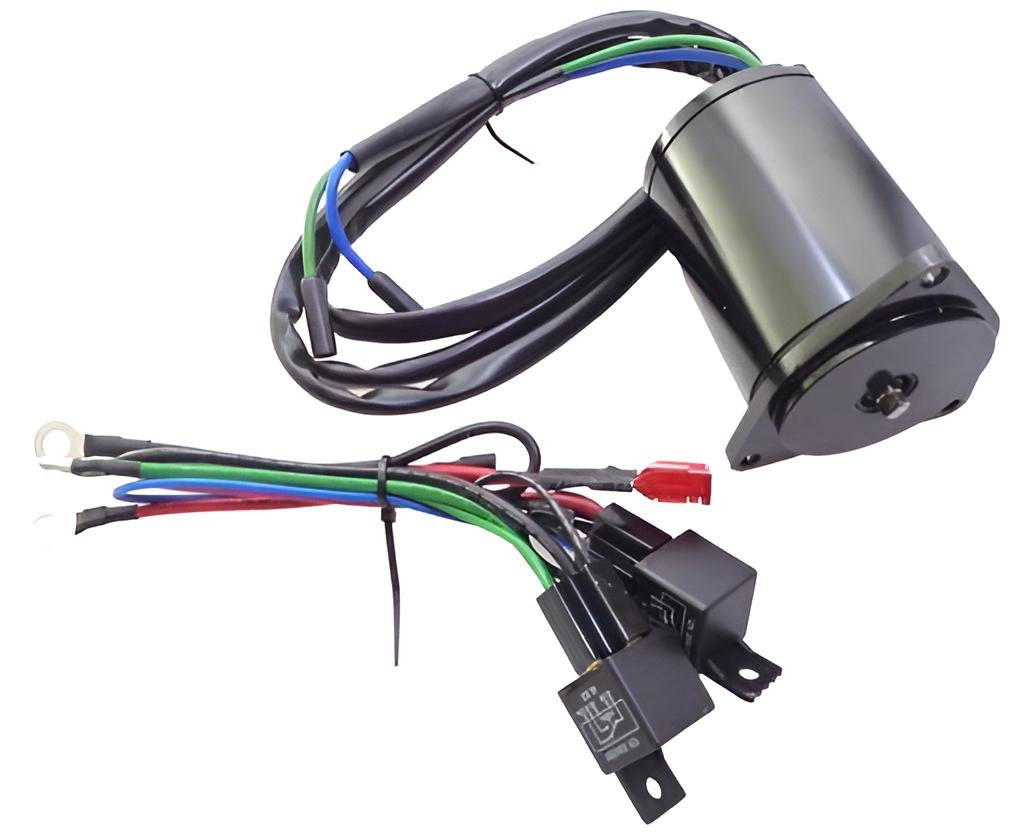 Trim Motor