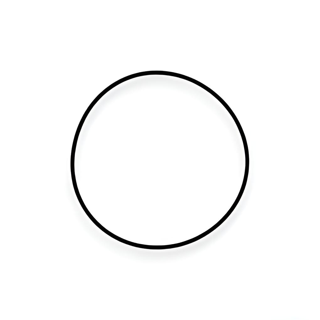 O-ring