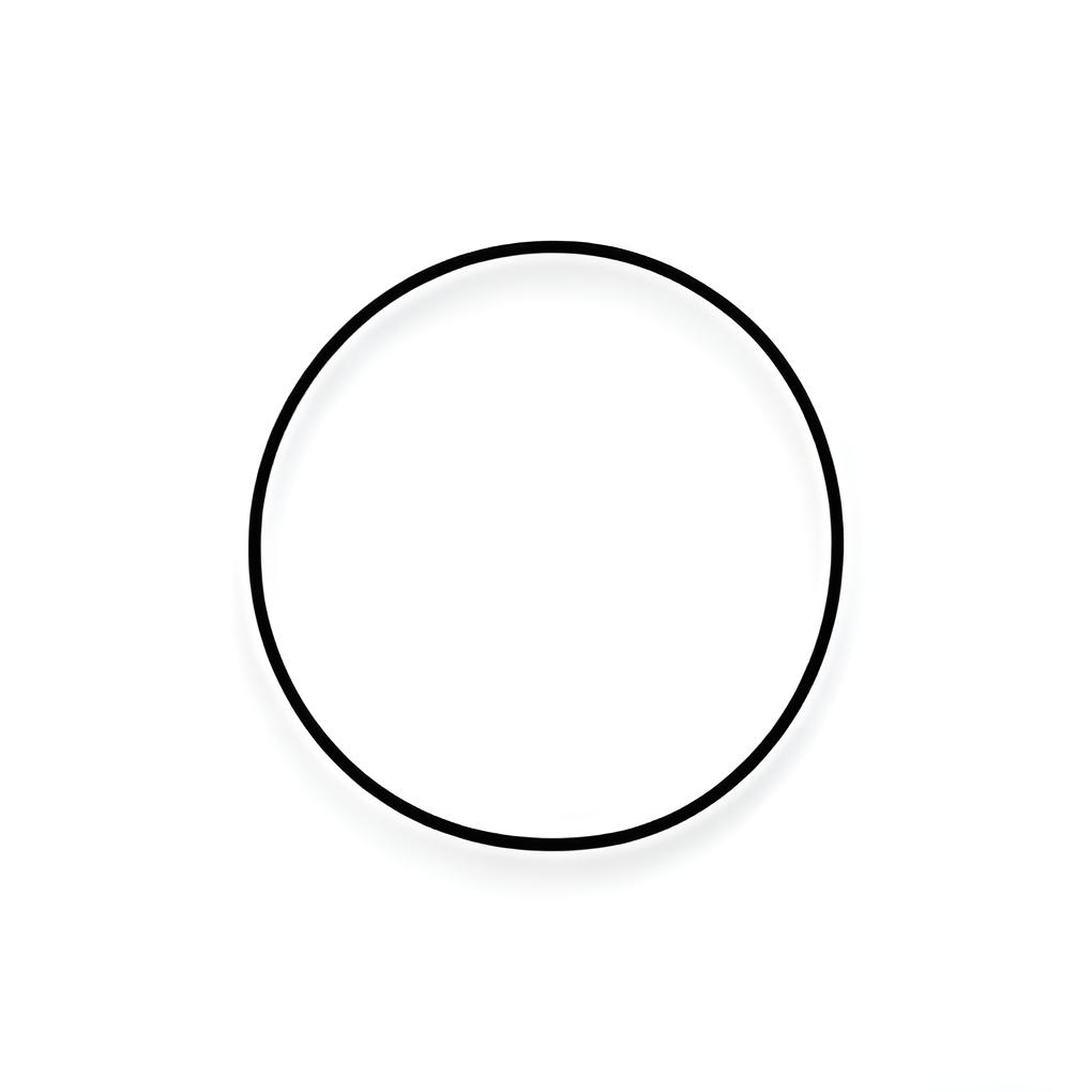 O-ring