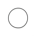 O-ring