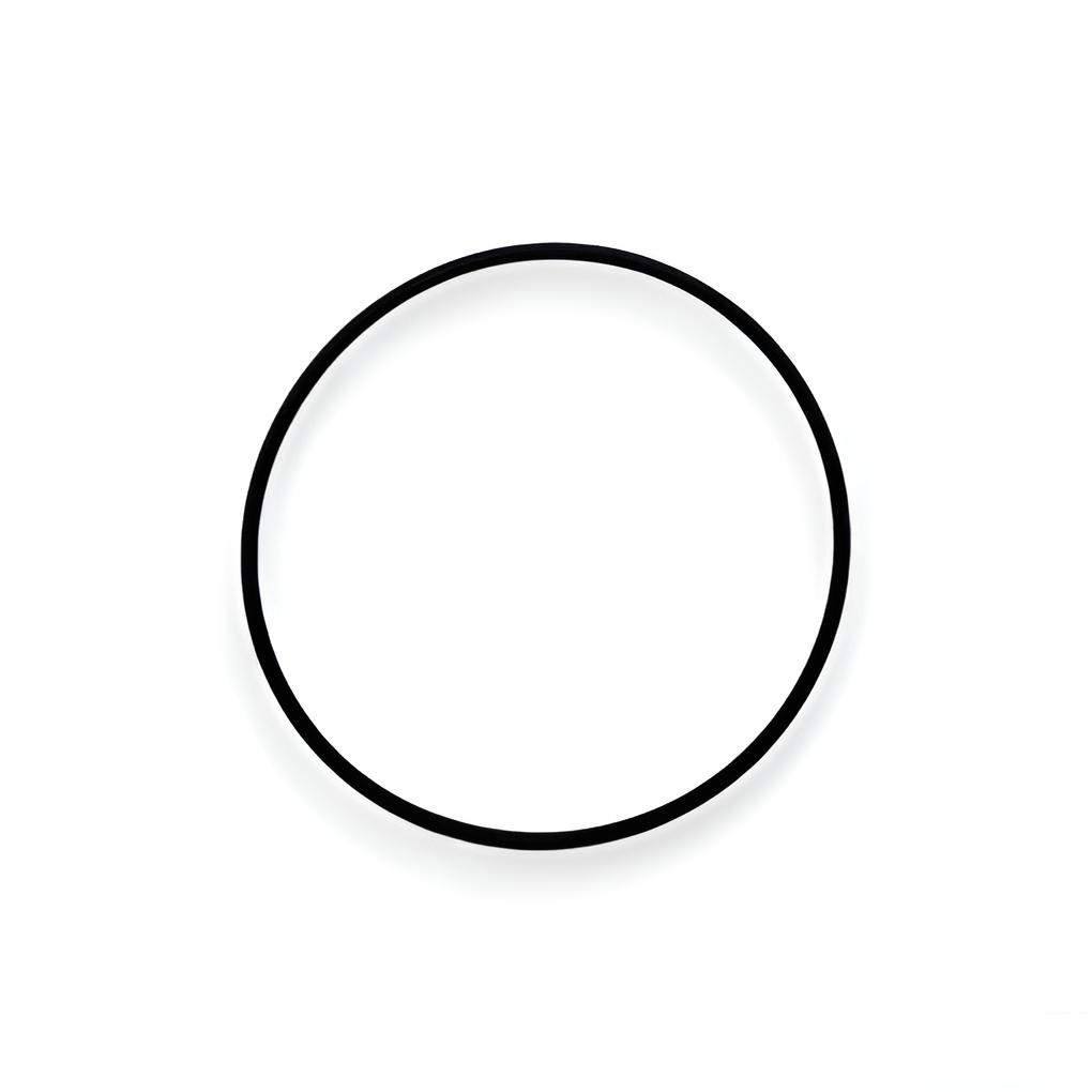 O-ring