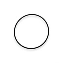 O-ring