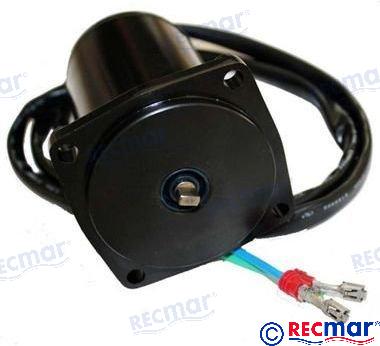 TRIM MOTOR
