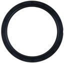 Crankshaft Rear Seal