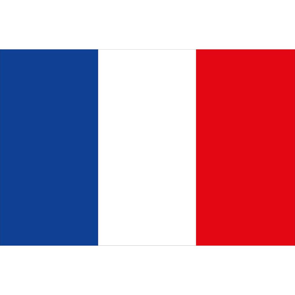 Französische Flagge  30x45cm