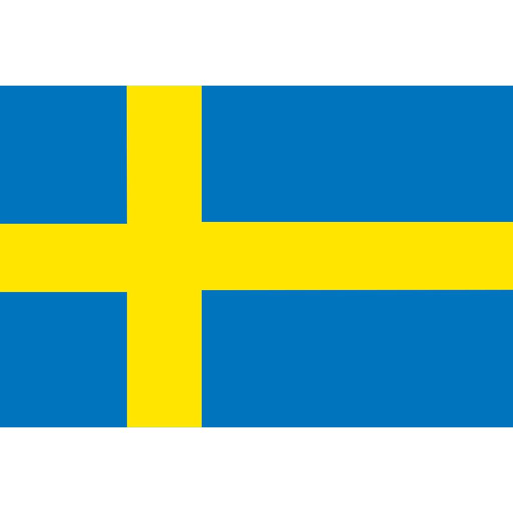 Zweedse vlag  20 x 30cm