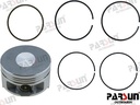 Piston Assy